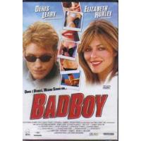 Dvd Original Do Filme Badboy comprar usado  Brasil 