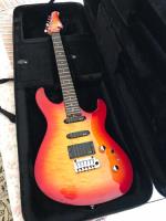 Guitarra Cort G290 Custom Emg Sa Sa 89 Schaller Gotoh Case comprar usado  Brasil 