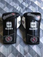 Luvas De Boxe/ Muay Thai Hayabusa Glory Kickboxing 10 Oz comprar usado  Brasil 
