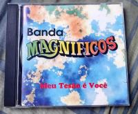 Cd Banda Magníficos Meu Tesão É Você 1996 Forró Das Antigas comprar usado  Brasil 