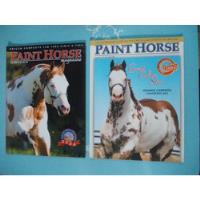 Usado, Paint Horse (kit De 2). Great Colors Star. Garanhões 2004 comprar usado  Brasil 
