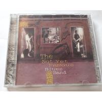 The Not Yet Famous Blues Band  - The Not Yet Famous Blues Ba comprar usado  Brasil 
