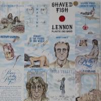 Lp - John Lennon/plastic Ono Band - Shaved Fish 1985 - Vinil comprar usado  Brasil 