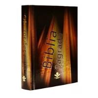 Livro Bíblia Sagrada Luz - Almeida Ra [2011] comprar usado  Brasil 
