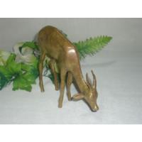 Cervo Campeiro Em Bronze Antigo, usado comprar usado  Brasil 