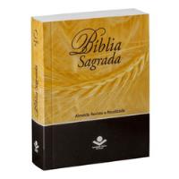 Livro Bíblia Sagrada Trigo - Almeida Ra [2009] comprar usado  Brasil 