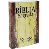 Usado, Livro Bíblia Sagrada Naa Nova Almeida Atualizada - Capa Bege E Marrom - João Ferreira De Almeida [2018] comprar usado  Brasil 