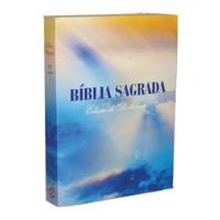 Livro Bíblia Sagrada Ed De Promessas Revista E Corrigida - João Ferreira De Almeida Tradutor [2013] comprar usado  Brasil 