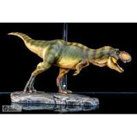 Tyrannosaurus Tiranossauro W-dragon Tipo Nanmu, Rebor, Pnso comprar usado  Brasil 