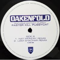 Usado, Paul Oakenfold - Faster Kill Pussycat Vinil 12 Single comprar usado  Brasil 