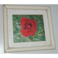 Quadro Decorativo Pequeno Rosa Vermelha , usado comprar usado  Brasil 