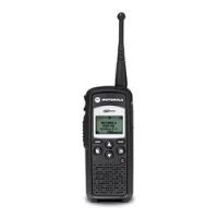 Rádio Comunicador Motorola Dtr620 Completo Usado comprar usado  Brasil 