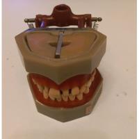 Manequim Articulado Prodens Dentistica Odontologia comprar usado  Brasil 