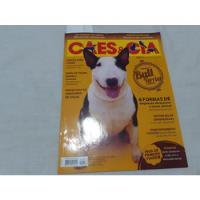 Revista Cães & Cia Pastor Belga Bull Terrier Com Poster comprar usado  Brasil 