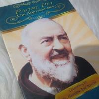 Livro Padre Pio Um Anjo Sem Asas comprar usado  Brasil 