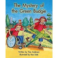 Livro The Mystery Of The Green Budgie - Tina Andersen [2019], usado comprar usado  Brasil 
