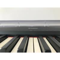 Usado, Piano Digital Yamaha P-95 + Suporte De Madeira comprar usado  Brasil 