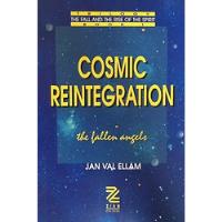 Livro Cosmic Reintegration - The Fallen Angels - Jan Val Ellam [2002] comprar usado  Brasil 