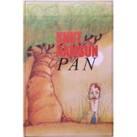 Livro Pan - Knust Hamsun [2005] comprar usado  Brasil 