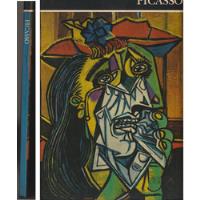 Picasso comprar usado  Brasil 