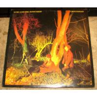 Lp Echo And Bunnymen - Crocodiles (1980) C/ Ian Mcculloch comprar usado  Brasil 