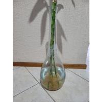 Vaso Decorativo De Vidro 65cm Por 20cm , usado comprar usado  Brasil 