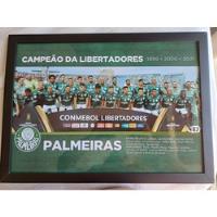 Placa Palmeiras Campeão Da Libertadores  comprar usado  Brasil 