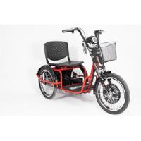 Triciclo Elétrico Fox 800w C/ Farol E Alarme Duos Bikes comprar usado  Brasil 
