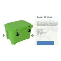 Usado, Caixa Térmica - Cooler 30 Litros - Bege - Lançamento comprar usado  Brasil 
