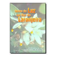 Usado, Livro Gotas De Luz Na Flor De Laranjeira - Analisa Carmo [2005] comprar usado  Brasil 