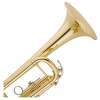 trompete sib comprar usado  Brasil 