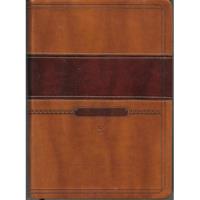 Bíblia Thompson ( Letra Grande ), usado comprar usado  Brasil 