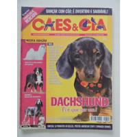 Usado, Cães E Cia #349 Dachshund - Maltês - Bernês comprar usado  Brasil 