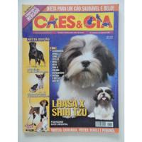 Cães E Cia #338 Lhasa X Shih Tzu - Poster Do Beagle comprar usado  Brasil 