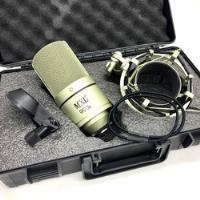 Microfone Mxl 990s Condensador Cardióide Champanhe Completo comprar usado  Brasil 