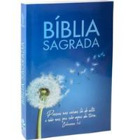 Livro Bíblia Sagrada - Nova Tradução Na Linguagem De Hoje - Sociedade Bíblica Do Brasil [2013] comprar usado  Brasil 
