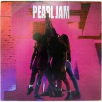 Lp Disco Pearl Jam - Ten comprar usado  Brasil 