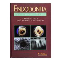 Livro Endodontia : Princípios Biológicos E Mecânicos - Carlos Estrela E José Antônio P. Figueiredo comprar usado  Brasil 