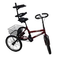 bicicleta cargueira triciclo comprar usado  Brasil 