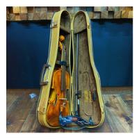 Violino Luthier Mazola 4/4 + Case Arco E Espaleira - Usado! comprar usado  Brasil 