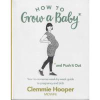 Livro How To Grow A Baby And Push It Out - Clemmie Hooper [2017] comprar usado  Brasil 