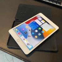 Apple iPad Mini 5a Geração 64gb - Usado - Perfeito Estado comprar usado  Brasil 