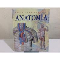 Anatomia. Atlas Ilustrado De Girassol Pela Girassol (2007) comprar usado  Brasil 