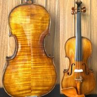 violino profissional comprar usado  Brasil 
