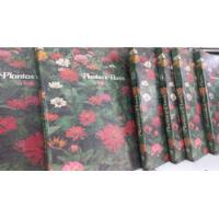 Enciclopédia De Plantas E Flores - 6 Volumes comprar usado  Brasil 