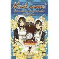 Livro Maid-sama! (volume 14) - Hiro Fujiwara [2013] comprar usado  Brasil 