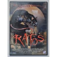 Dvd Ratos - Eles Já Nascem Famintos... comprar usado  Brasil 