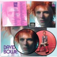 David Bowie Space Oddit Lp Picture Disc Limited Edition comprar usado  Brasil 