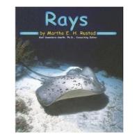 Rays De Martha E. H. Rustad Pela Pebble Books (2001) comprar usado  Brasil 