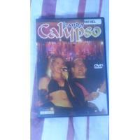 Dvd+cd Banda Calypso - Ao Vivo Em São Paulo comprar usado  Brasil 